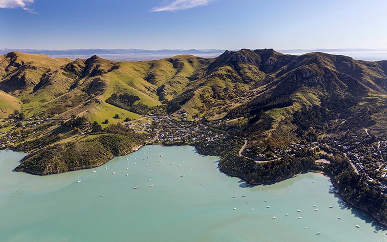 Read more about the article Whaka-Ora plans native planting for Steadfast