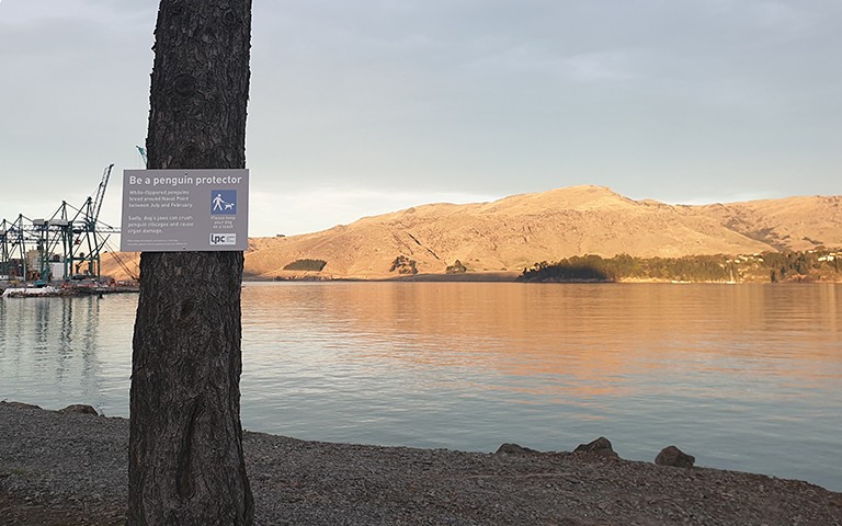 'Be a penguin protector' sign attached to a pole. The sign has white text on a dark grey background, with a dog-walker icon in white on dark blue.