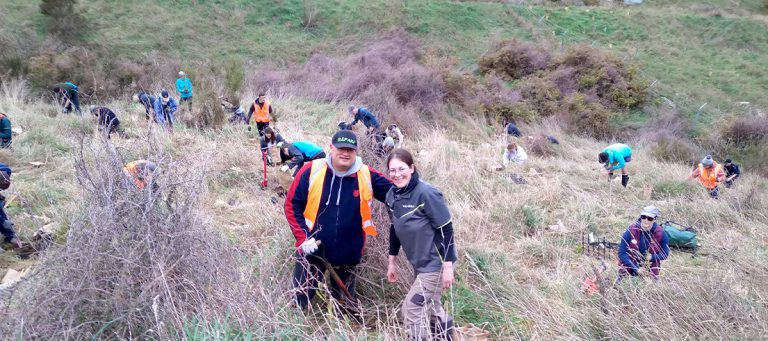 Cass Bay planting volunteers