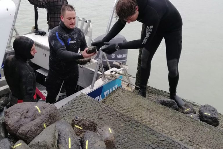 Preparing to place the rocks in the harbour