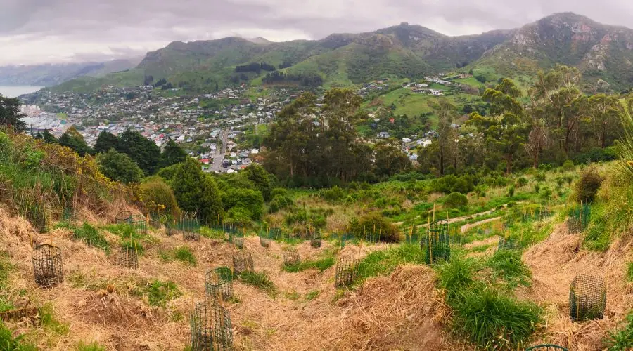 View from top of hill.
