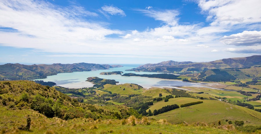 Panoramic view of Whakaraupō / Lyttelton Harbour from the surrounding hills, showing green rolling farmland, patches of forest, and the calm harbour waters under a partly cloudy sky.