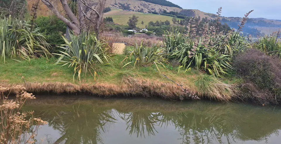 Te Wharau Stream's native fish survive major flood.